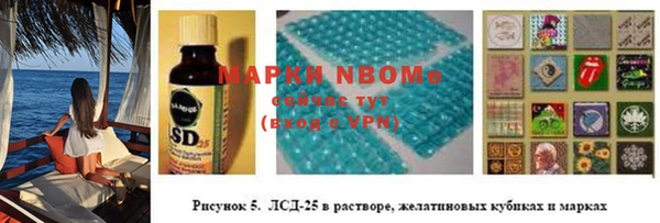 тгк Инта