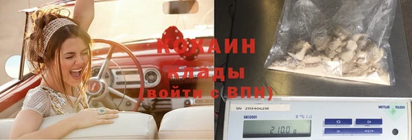 тгк Инта