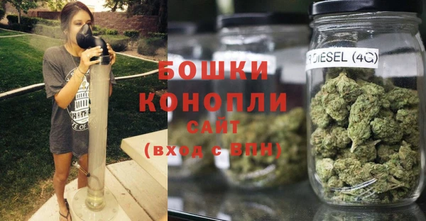 тгк Инта