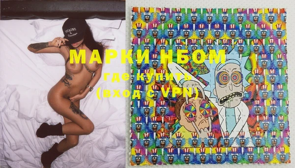 тгк Инта