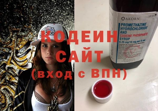 тгк Инта