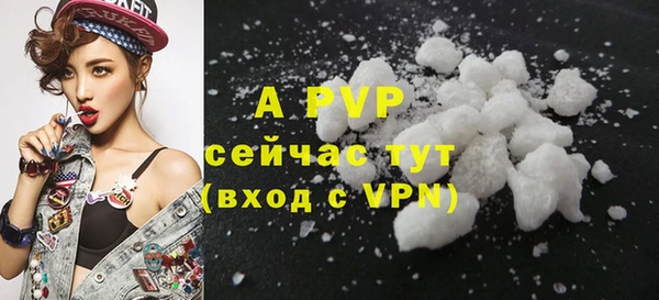 тгк Инта