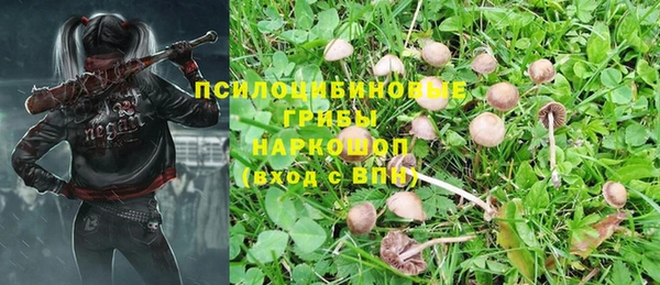 тгк Инта