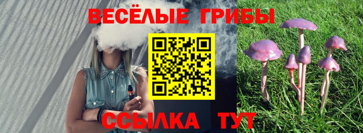 Галлюциногенные грибы Magic Shrooms  Галлюциногенные грибы ЛСД  Вход с VPN  купить закладку  Кандалакша 