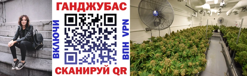 купить   Кандалакша  Марихуана план 